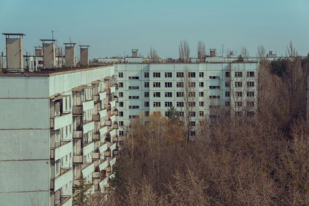 Mais de três décadas após o desastre nuclear de Chernobyl, os cães abandonados na região continuam a chamar a atenção da ciência (Foto: Unsplash)