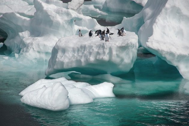 O iceberg desprendeu-se da plataforma Filchner-Ronne em 1986 (Imagem: pixabay)