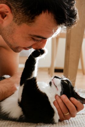 Uma mulher em Karnataka, na Índia, processou o marido alegando que ele se importa mais com o gato do que com ela (Foto: Pexels)