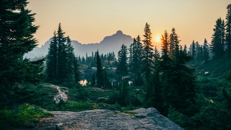 Ele estava visivelmente debilitado, mas em condições estáveis, após relatar que sobreviveu bebendo água da chuva e de lagoas (Foto: Unsplash)