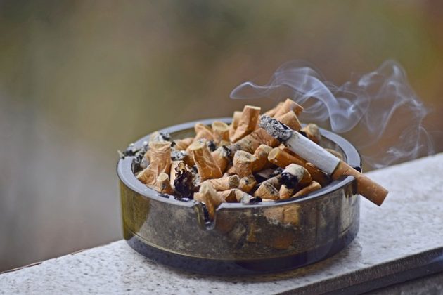 A Suécia destacou-se ao se tornar o primeiro país considerado "livre do tabaco". (Imagem: pixabay)