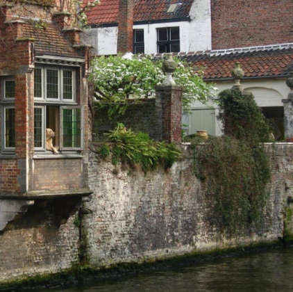 "Com uma vista privilegiada para o canal, um dos cenários mais encantadores de Bruges, os turistas que passavam de barco paravam para capturar o momento ao lado do simpático cão." (imagem: reprodução Instagram)