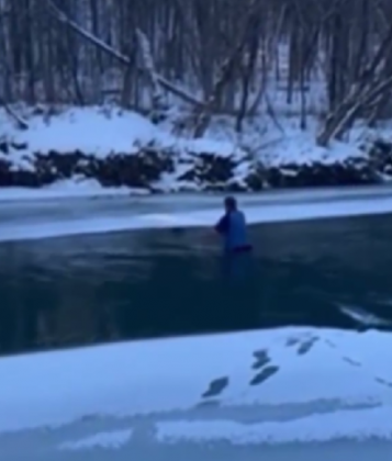 "A coragem do homem chamou atenção em Vermont, nos Estados Unidos." (imagem: reprodução Instagram)