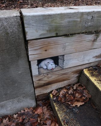 Suas criações aparecem nas ruas de diversas cidades dos EUA e do mundo, improvisadas com objetos encontrados no caminho (Foto: Reprodução/Instagram/@davidzinn)