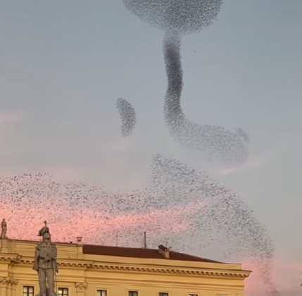 "O fenômeno conecta a ciência à arte e a funcionalidade à estética." (imagem: reprodução Instagram)