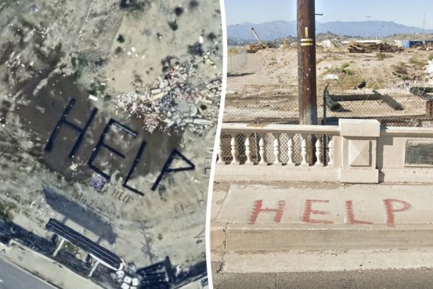 Diante da comoção, a polícia de Los Angeles e a empresa Union Pacific, proprietária do terreno, esclareceram que não há indícios de perigo (Foto: X)