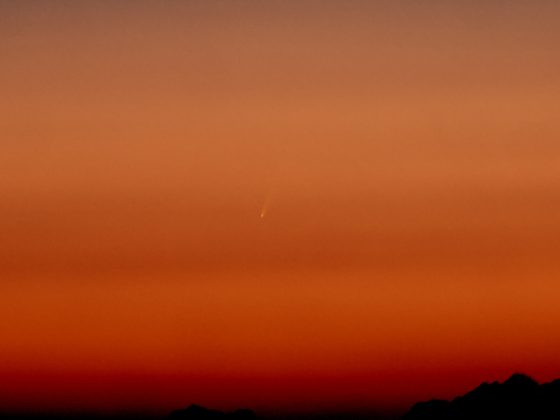 O cometa C/2024 G3 (ATLAS) ficará visível a olho nu no Hemisfério Sul após o pôr do sol (Foto: C messier, CC BY-SA 4.0, via Wikimedia Commons)