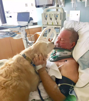 Ao longo de 20 horas, sua cadela Kelsey, uma golden retriever, permaneceu ao seu lado, mantendo-o aquecido e alertando para ajuda (Foto: X)