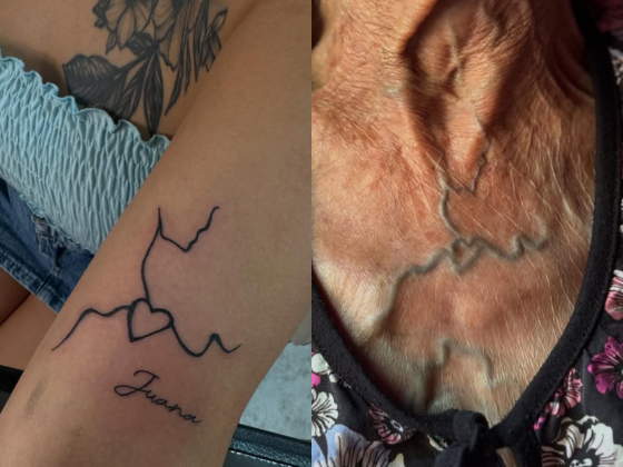 Jovem homenageia avó com tatuagem de coração formado por veias e emociona internautas (Foto: Reprodução/Instagram/@marinabelennn)