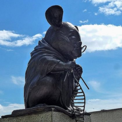 "O monumento homenageia os ratos utilizados em estudos e experimentos." (imagem: reprodução Instagram)