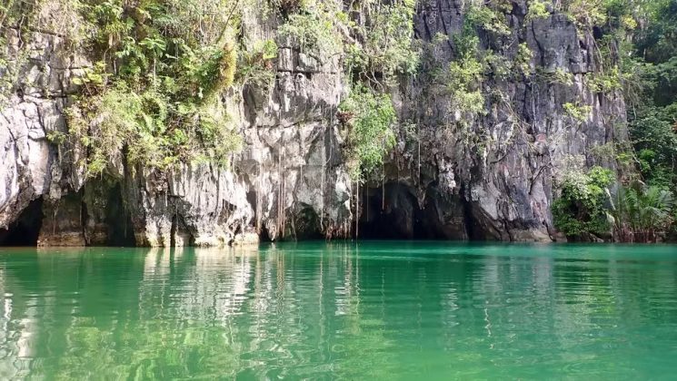 Com corpo alongado e coloração marrom-escura, a moreia foi encontrada de forma inesperada durante uma expedição em Puerto Princesa, Filipinas (Foto: ZooKeys)