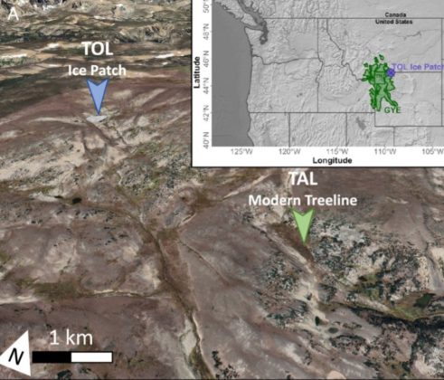 O aquecimento local deslocou a linha das árvores para regiões mais altas, confirmando mudanças climáticas ao longo do tempo (Foto: Daniel Stahle/Universidade Estadual de Montana)