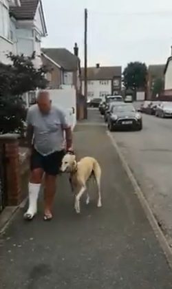 Ao final, os veterinários chegaram à conclusão de que o cachorro não estava machucado, mas sim demonstrando solidariedade ao imitar os movimentos de seu dono (Foto: Reprodução/X)