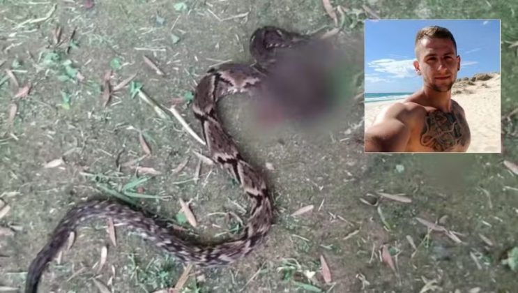 Ian Ferro Iacopucci, de 29 anos, morreu após ser picado por uma cobra jararaca (Foto: Reprodução/EPTV)