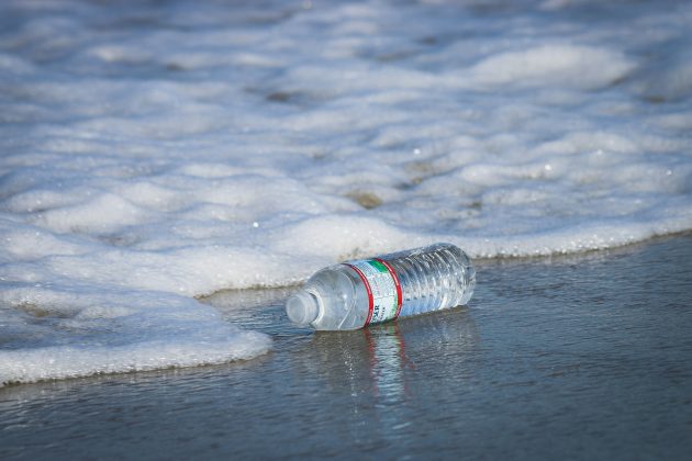 Um estudo conduzido por pesquisadores do Instituto Oceanográfico da USP identificou a presença de microplásticos em organismos marinhos da região, indicando que a contaminação ocorre há pelo menos 40 anos (Foto: Unsplash)