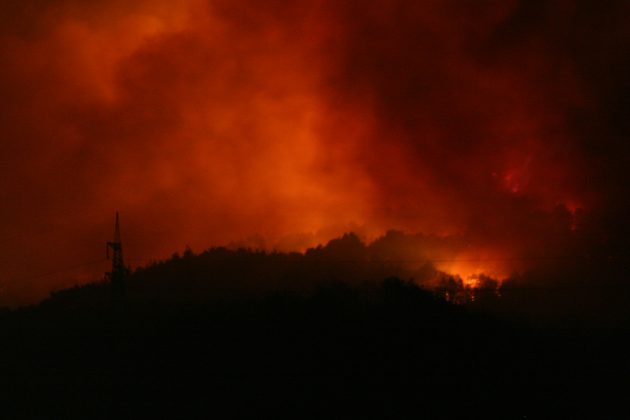 Milhares de estruturas foram reduzidas a cinzas, enquanto o Corpo de Bombeiros dos Estados Unidos alerta que a situação está longe de ser controlada (Foto: Unsplash)