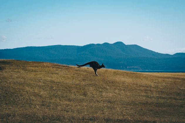 O episódio ocorreu enquanto ele caminhava até seu carro e resultou em graves ferimentos no quadril, além de cortes nos braços e no peito (Foto: Unsplash)