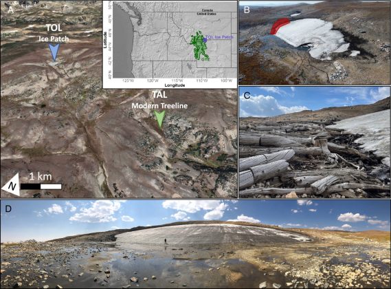 O estudo revelou que o gelo acumulado preservou materiais como pólen e carvão, oferecendo pistas sobre o clima antigo (Foto: Daniel Stahle/Universidade Estadual de Montana)