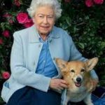 Conhecida por sua paixão por cães, a rainha Elizabeth II dedicou boa parte de sua vida aos seus companheiros de quatro patas, especialmente os corgis (Foto: X)