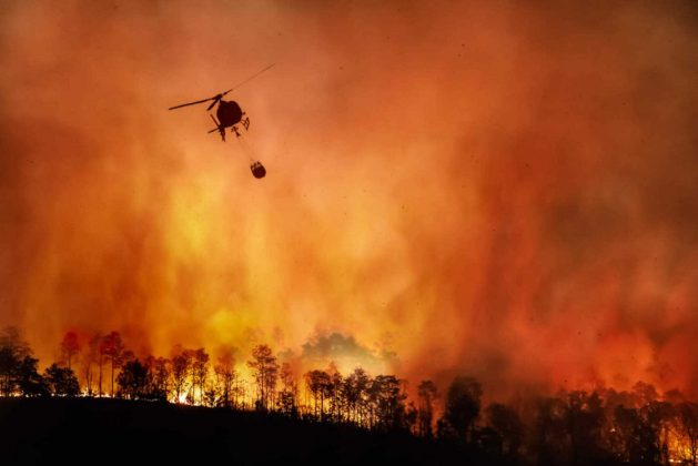 Diante da gravidade dos incêndios florestais que devastam áreas próximas a Los Angeles, nos Estados Unidos, bombeiros têm recorrido ao uso de água do mar como alternativa para conter o avanço das chamas (Foto: Unsplash)