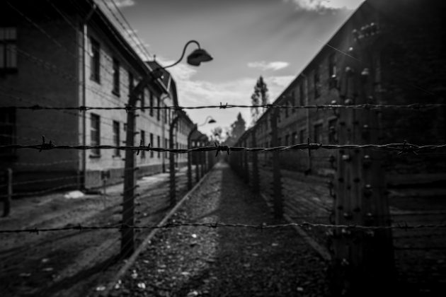 Segundo Piotr Cywiński, diretor do Memorial e Museu Auschwitz-Birkenau, o objetivo da decisão é valorizar as histórias daqueles que testemunharam os horrores do Holocausto (Foto: Unsplash)