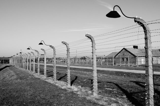 "Trata-se de uma homenagem às vítimas do Holocausto e à nação judaica", declarou o governo polonês (Foto: Unsplash)