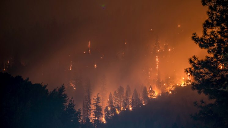 Autoridades locais classificaram a situação como sem precedentes, destacando a imprevisibilidade dos incêndios (Foto: Unsplash)