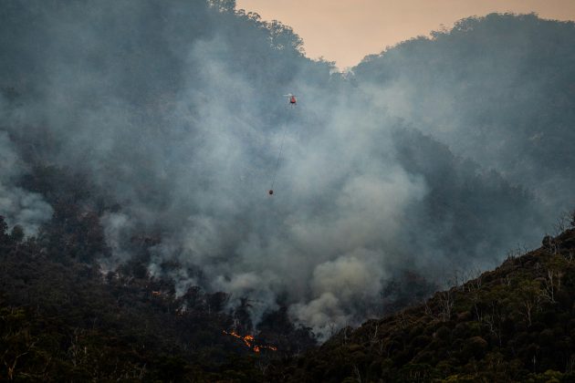 As chamas, iniciadas em locais como Pacific Palisades e Pasadena, são agravadas pelos ventos quentes e secos de Santa Ana, que ultrapassam 100 km/h e dificultam os esforços de contenção (Foto: Unsplash)