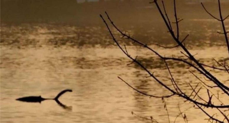 O folclore sobre a possível existência do monstro do Lago Ness se arrasta há séculos, com relatos de avistamentos que descrevem uma figura de pescoço longo emergindo das águas (Foto: X)