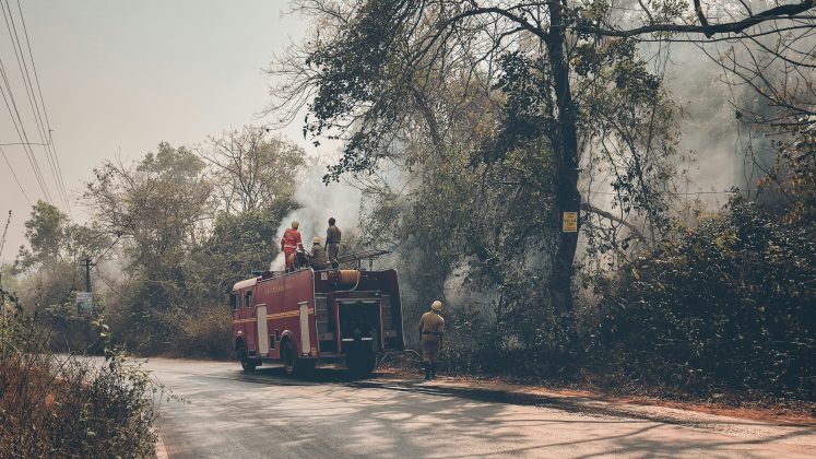 Esses ventos secos fluem do interior em direção à costa da Califórnia, chegando a regiões como Los Angeles sem carregar umidade (Foto: Unsplash)