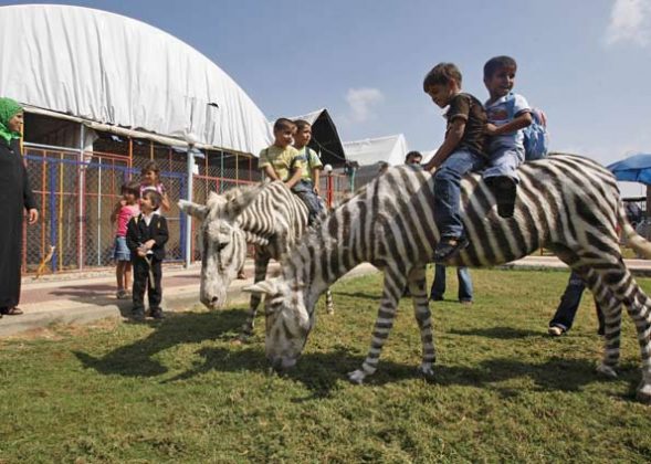 Um zoológico localizado em um parque de diversões na cidade de Zibo, na China, provocou indignação entre visitantes e internautas ao apresentar burros pintados com listras pretas para se assemelharem a zebras (Foto: X)