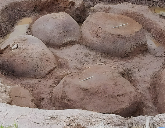 A descoberta ocorreu próximo a um rio na Argentina. (Imagem: reprodução Instagram/ @planetdinosaurs)