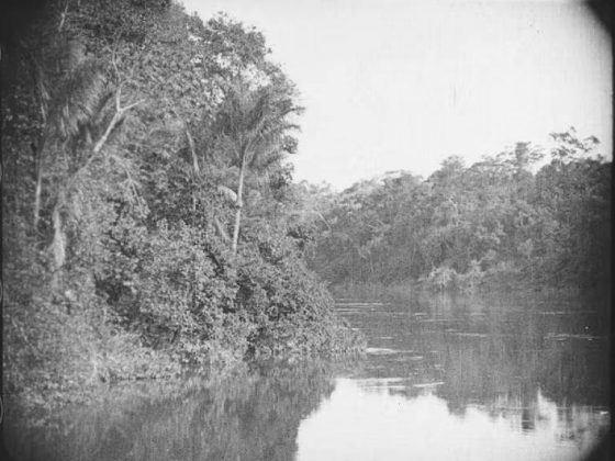 O filme Amazonas, o Maior Rio do Mundo, dirigido pelo cineasta Silvino Santos em 1918, documenta uma jornada fluvial pelo rio Amazonas, capturando imagens de diversas localidades da região, como Belém, Marajó, Santarém, Itacoatiara, Manaus e o rio Putumayo, que atravessa o Pará, o Amazonas e o Peru (Foto: X)