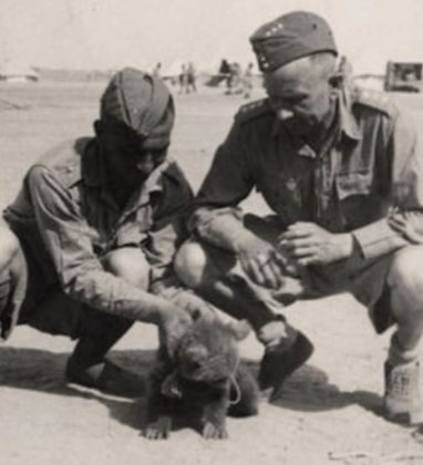 O II Corpo de Exército Polonês adotou Wojtek durante a guerra para garantir sua presença na tropa. (Imagem: reprodução Instagram)