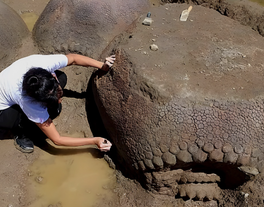 Foram encontrados quatro fósseis de armadillos gigantes. (Imagem: reprodução Instagram/ @planetdinosaurs)