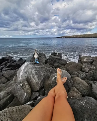 "O engraçado ritual de acasalamento é realizado pelos machos, que levantam as patas em uma exibição de passos altos." (Imagem: Reprodução Instagram/ michiumdiewelt)