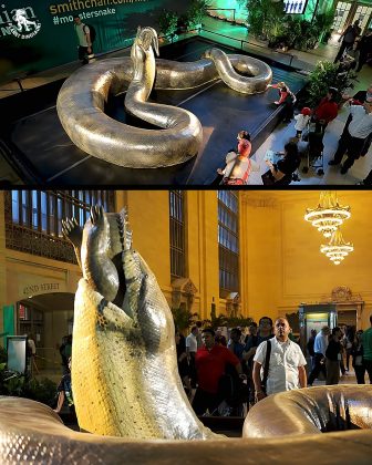 O Titanoboa é um parente das boas atuais de Madagascar e do Pacífico. (Imagem: reprodução instagram)