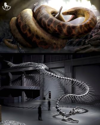 Titanoboa poderia crescer até 12,8 metros de comprimento. (Imagem: reprodução instagram)