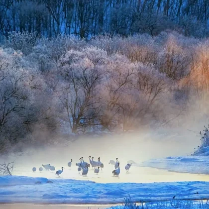 Desde 1995, o bloco figura no Guinness Book. (Imagem: reprodução Instagram/ @naturein_focus)