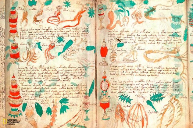 Manuscrito Voynich: o misterioso livro ilustrado que intriga pesquisadores há séculos (Foto: Domínio público)