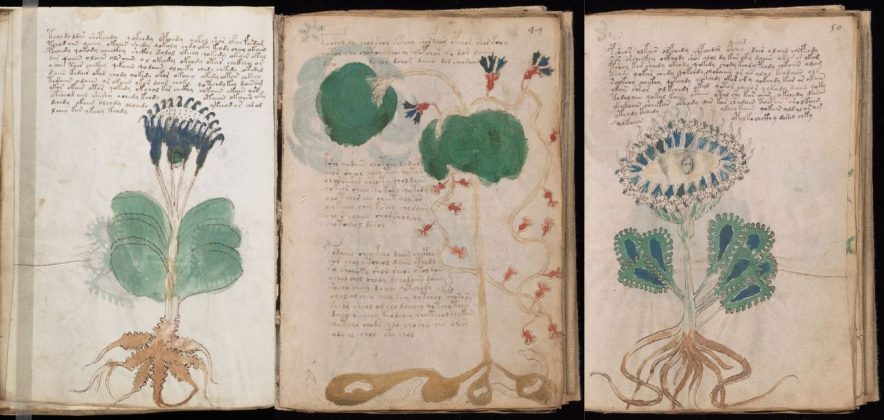 O Manuscrito Voynich é um dos maiores enigmas da história. Com suas páginas repletas de uma escrita misteriosa e ilustrações enigmáticas, o livro continua a desafiar estudiosos (Foto: Domínio público)