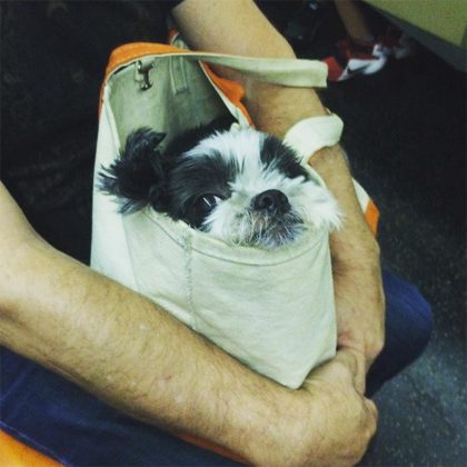 As sacolas eram igualmente variadas em tamanho e estilo (Foto: Reprodução/Instagram)