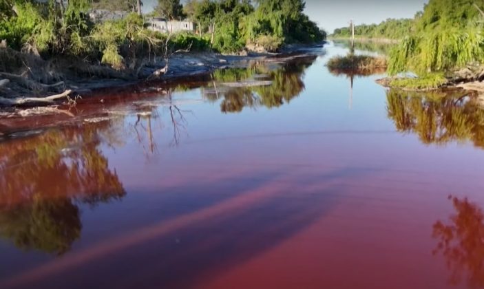 Muitos temem que o fenômeno seja resultado de contaminação por produtos químicos (Foto: Reprodução/CNN)