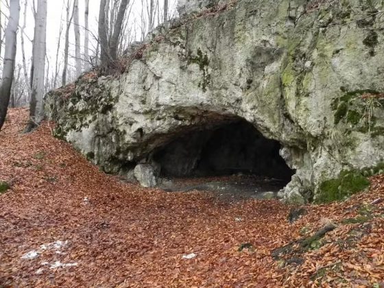 Sinais de canibalismo pré-histórico são identificados em caverna na Polônia (Foto: IPHES)