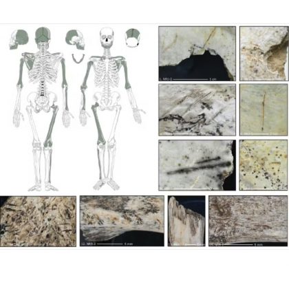 Evidências de canibalismo cultural foram identificadas na Caverna Maszycka, na Polônia, revelando que, há cerca de 18 mil anos, grupos humanos consumiam corpos de forma sistemática (Foto: IPHES)