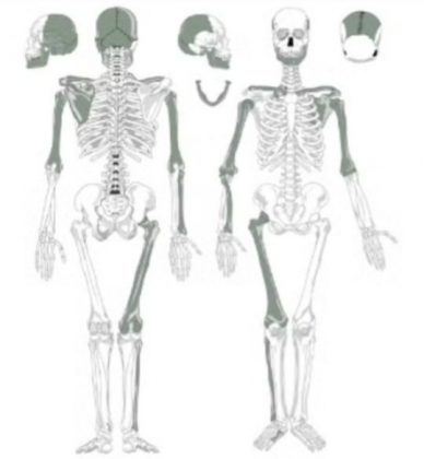 A pesquisa, publicada na revista Scientific Reports, sugere que o canibalismo poderia estar ligado a rituais ou conflitos entre grupos rivais (Foto: IPHES)