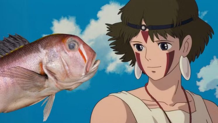 Pesquisadores chineses anunciaram a descoberta de uma nova espécie de peixe com um detalhe curioso: suas marcas faciais lembram a pintura da personagem San, protagonista de Princesa Mononoke, do Studio Ghibli (Foto: Fish: Branchiostegus sanae. Huang et al. CC-BY 4.0 Illustration: San from Princess Mononoke © 1997 Hayao Miyazaki/Studio Ghibli, ND)