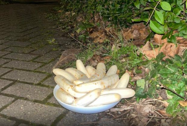 Misterioso prato com bananas aparece todo mês na mesma rua e intriga moradores (Foto: BBC)