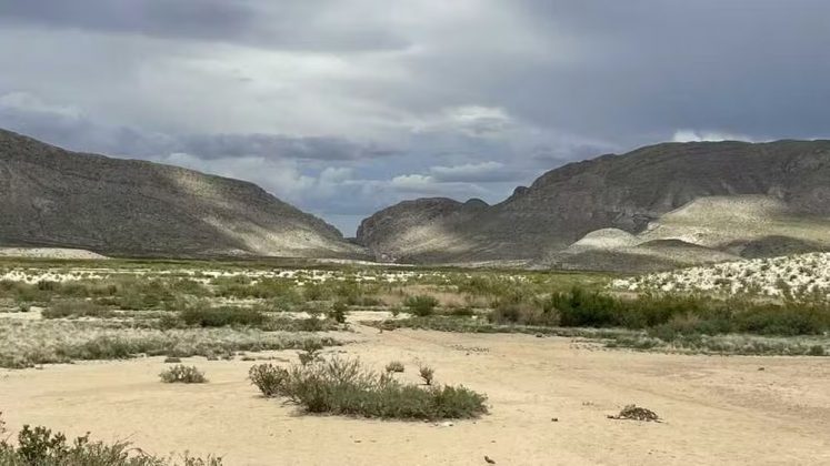 O diabo-lanoso, ou "wooly devil", foi encontrado no Parque Nacional Big Bend, no Texas (Foto: Parque Nacional Big Bend)