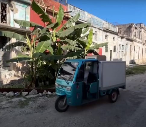 O curioso é que ninguém sabe ao certo como as sementes chegaram ali. Porém, as bananeiras cresceram e se tornaram grandes árvores no meio da rua (Foto: Reprodução/Inside Edition)